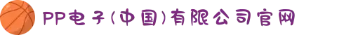 PP电子(中国)有限公司官网